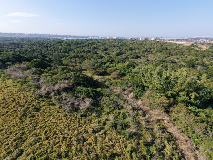 Commercial Property for Sale in Cove Rock Eastern Cape